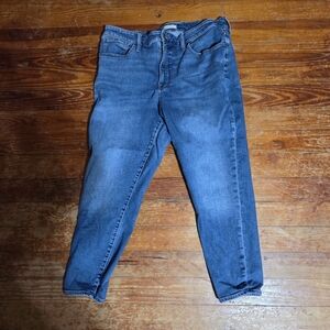 Madewell Classic Indigo Skinny Jeans